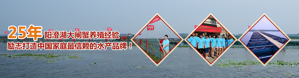 25年阳澄湖大闸蟹养殖经验励志打造中国家